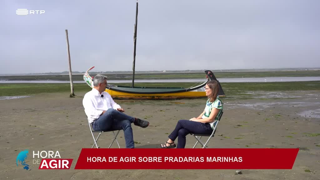 Imagem de Hora de Agir - Pradarias Marinhas