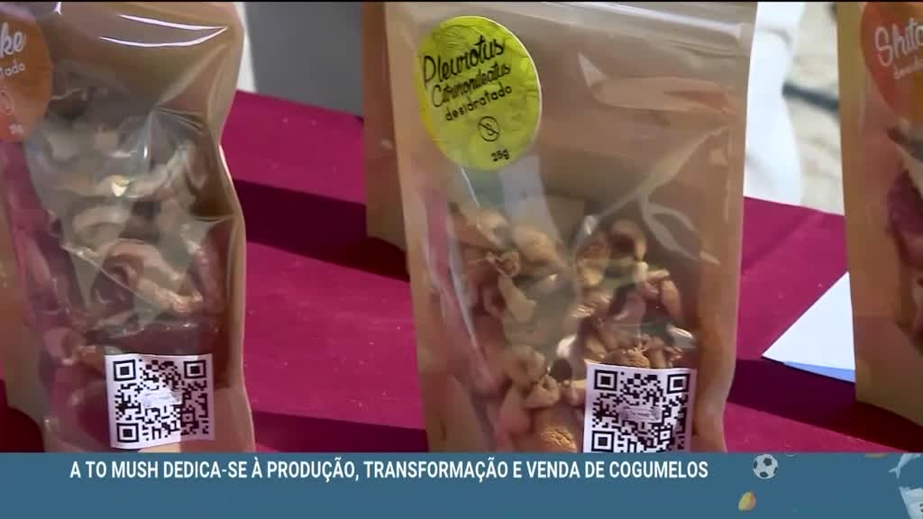 Imagem de Férias Cá Dentro - Arganil