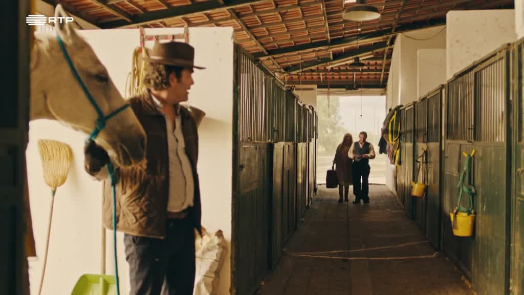 Imagem de Pôr do Sol