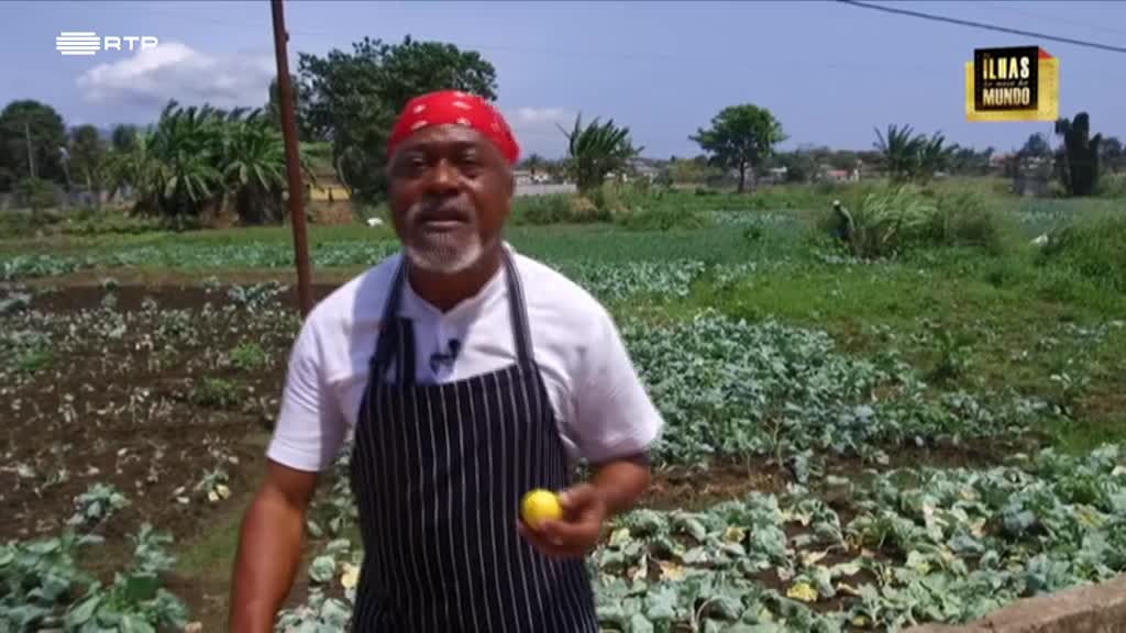 Imagem de As Ilhas do Meio do Mundo - São Gabriel - Pantufo / Coco e Erva-príncipe