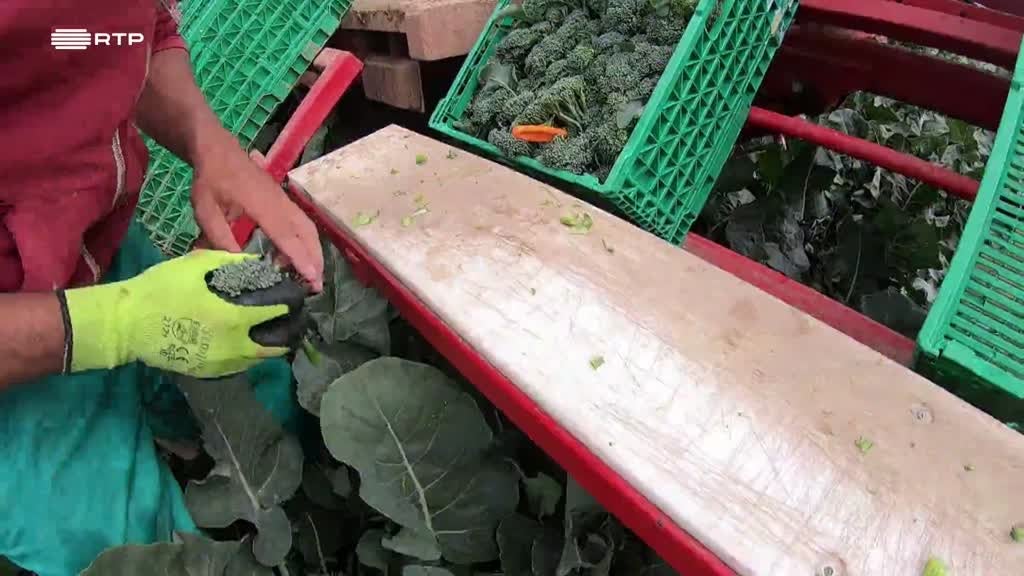 Imagem de Europa Minha