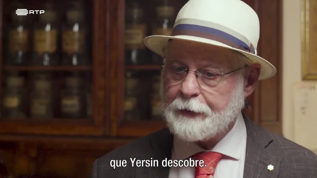 Imagem de A Vida Privada dos Livros