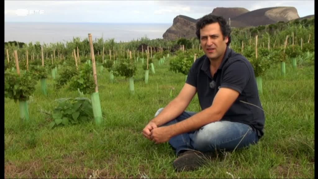 Imagem de Os Fósseis de Santa Maria - Açores