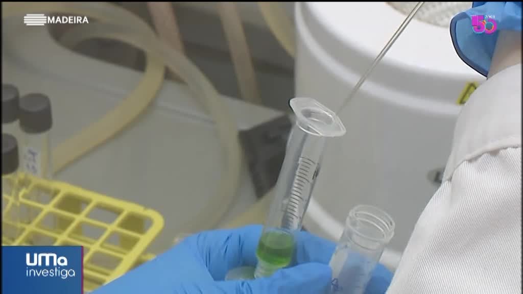 Imagem de UMa Investiga