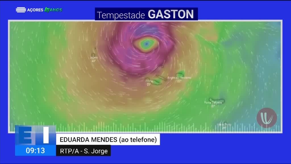 Imagem de Especial Informação - Gaston