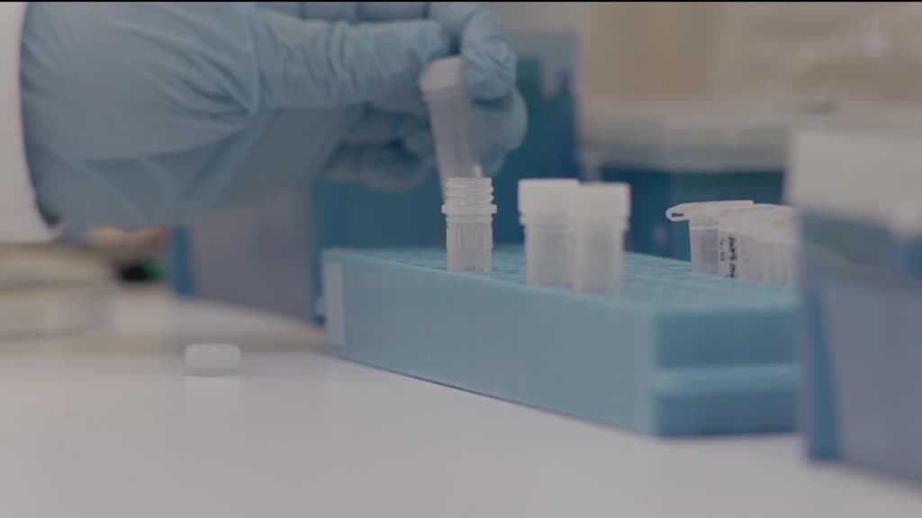 Imagem de Longevidade - Desafios Económicos e Soc