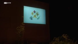 Imagem de A Import�ncia de Ser Agustina Bessa-Lu�s