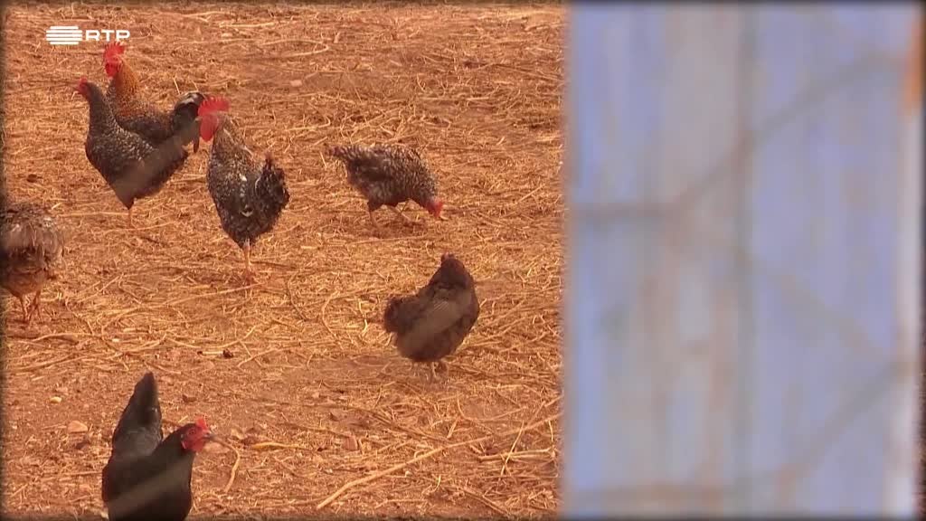 Imagem de Pontos & Cardeais - Castro Marim