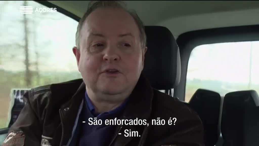 Imagem de Novos Vizinhos