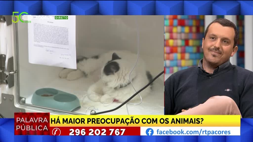 Imagem de Palavra Pública - Veterinária e bem-estar animal