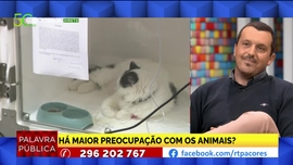 Imagem de Veterinria e bem-estar animal