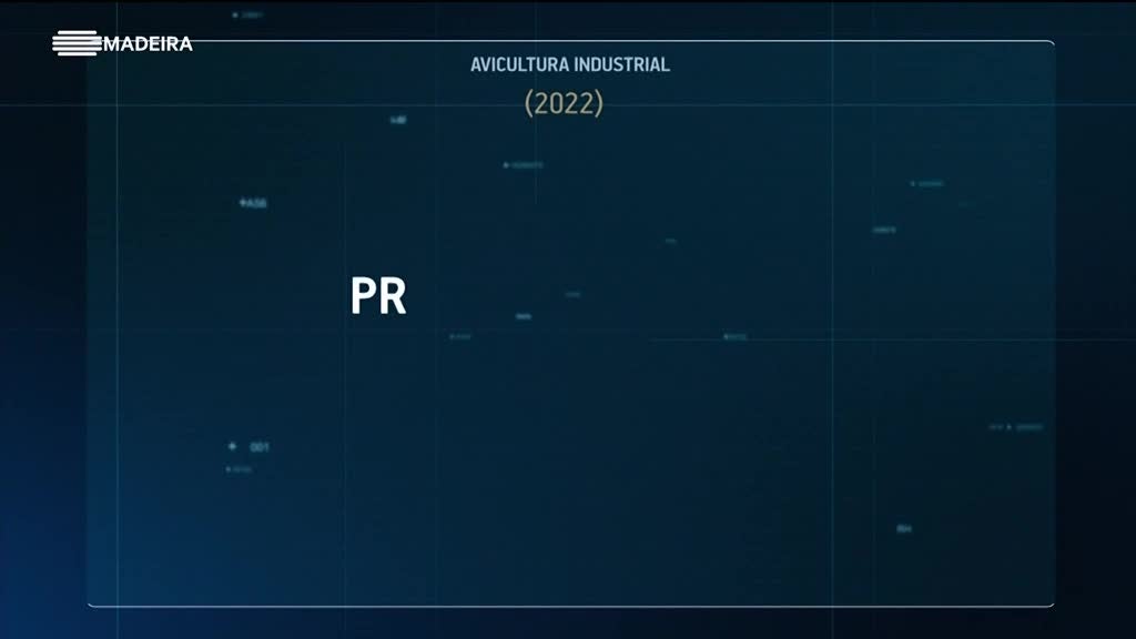 Imagem de Madeira em Números 2023
