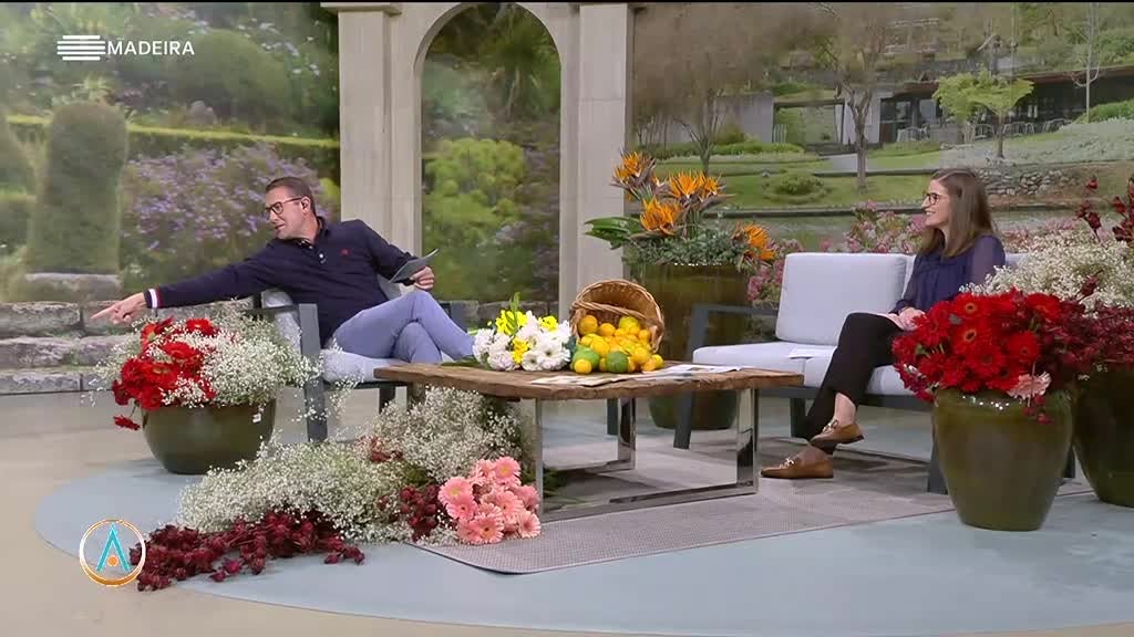 Imagem de Atlântida Madeira