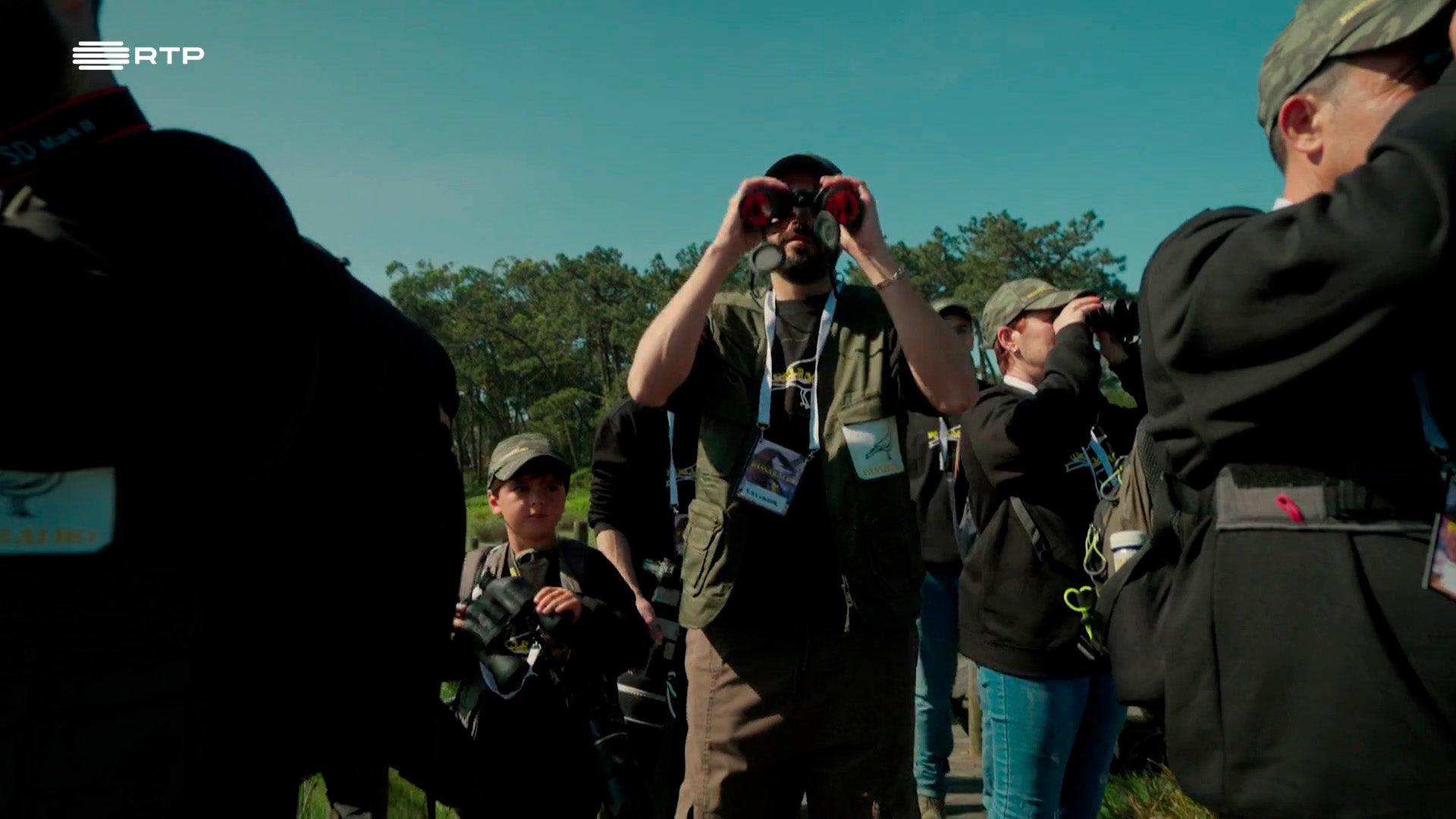 Imagem de Sou Menino Para Ir - Como Fazer Birdwatching