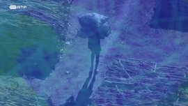 Imagem de The Soul Journey