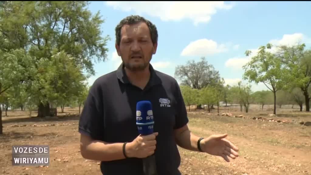 Imagem de Vozes de Wiriyamu