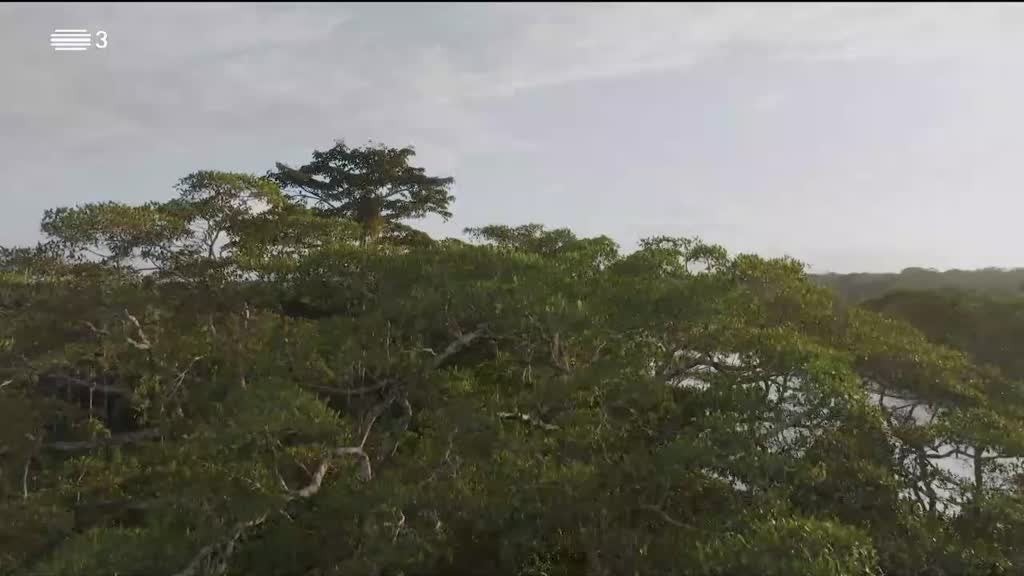 Imagem de TecNet - O fim das Apps, os desafios da IA e novidades no mundo financeiro