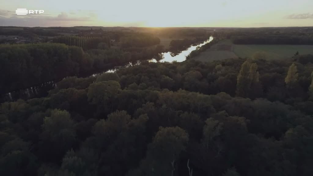 Imagem de Temos Programa