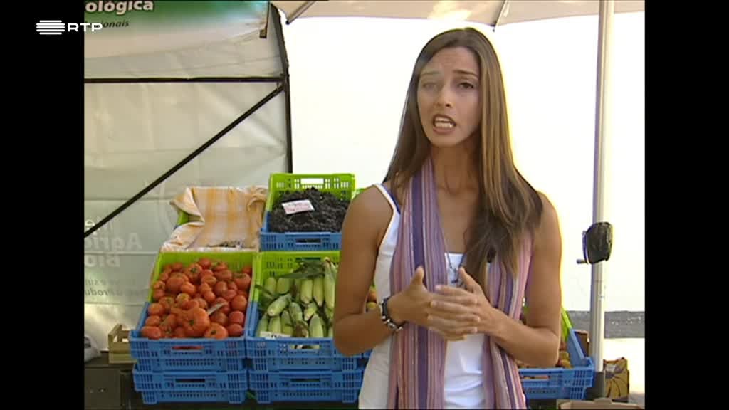 Imagem de Temos Programa