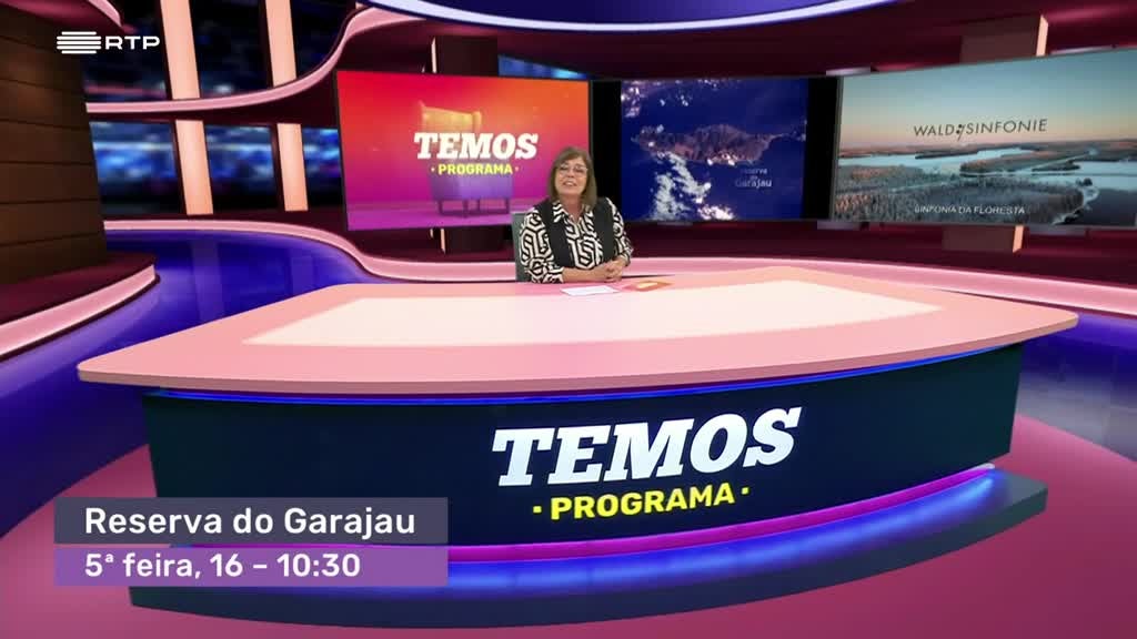 Imagem de Temos Programa