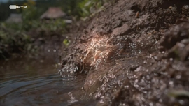 Imagem de Temos Programa