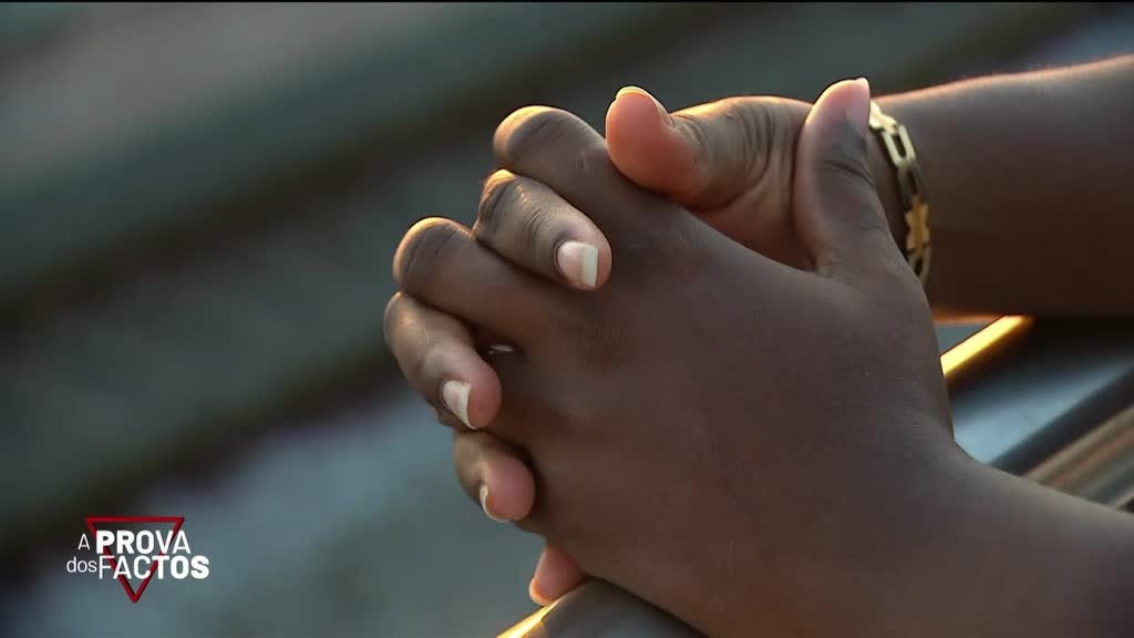 Imagem de A Prova dos Factos