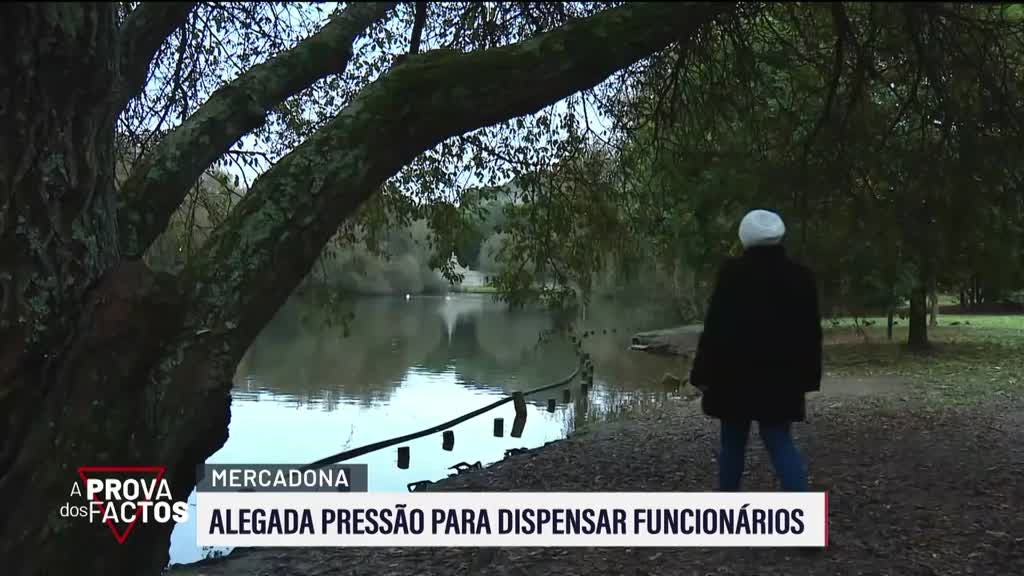 Imagem de A Prova dos Factos