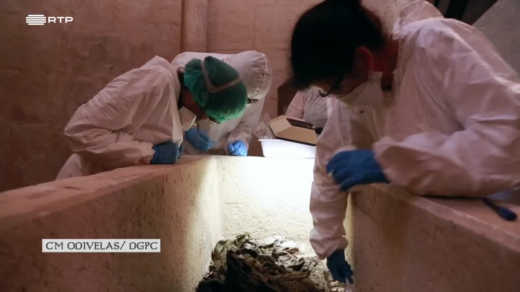 Imagem de Linha da Frente - O Milagre do Rei D. Dinis