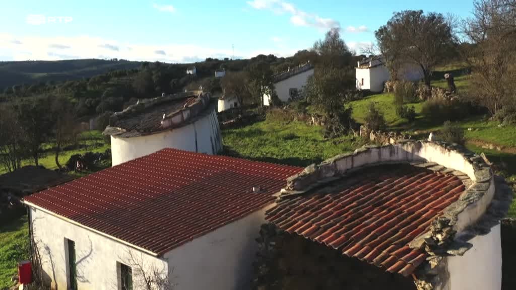 Tesouros Fósseis do Buçaco / Entre Pombais, Águias e Abutres