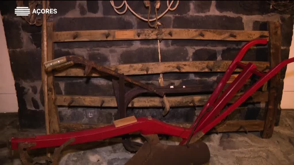 Imagem de Histórias da Terra e da Gente | T4