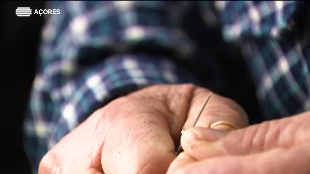 Imagem de Histórias da Terra e da Gente | T4