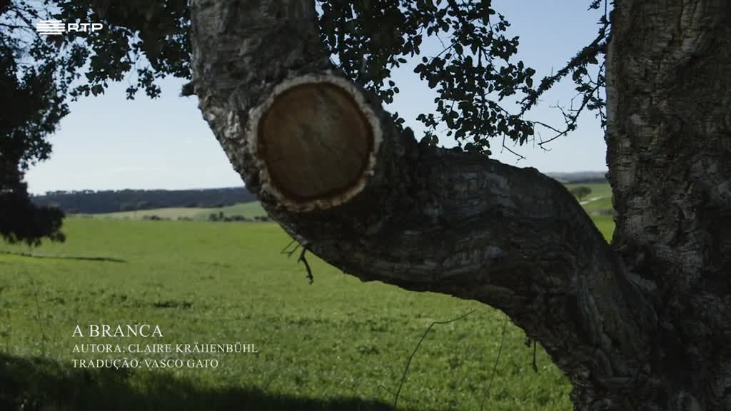 Imagem de Nada Será Como Dante