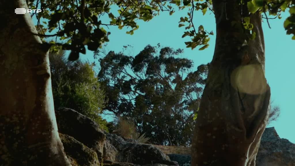 Imagem de Regresso a Ítaca - Esta é a Cidade do meu Pai