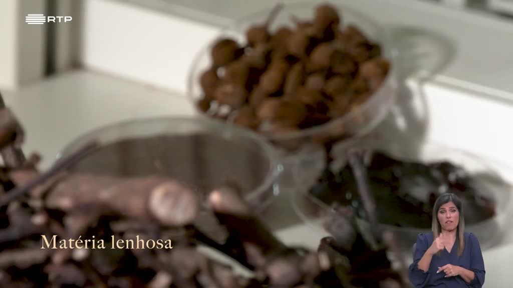 Imagem de Biosfera - Valorizar os Recursos Endógenos do Centro do País