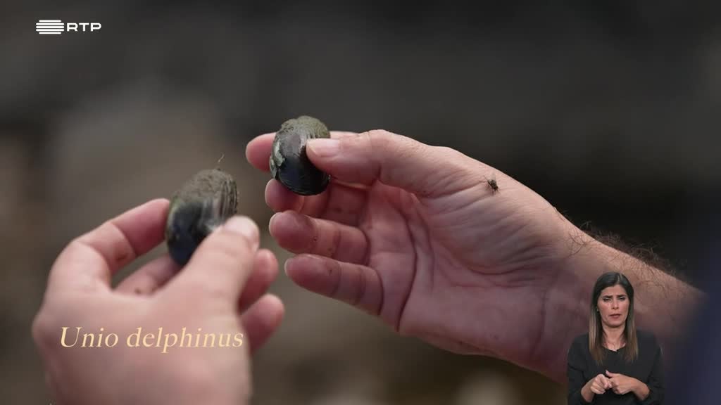 Imagem de Biosfera - Extremos Climáticos e Água Doce: Uma Luta Contra o Tempo