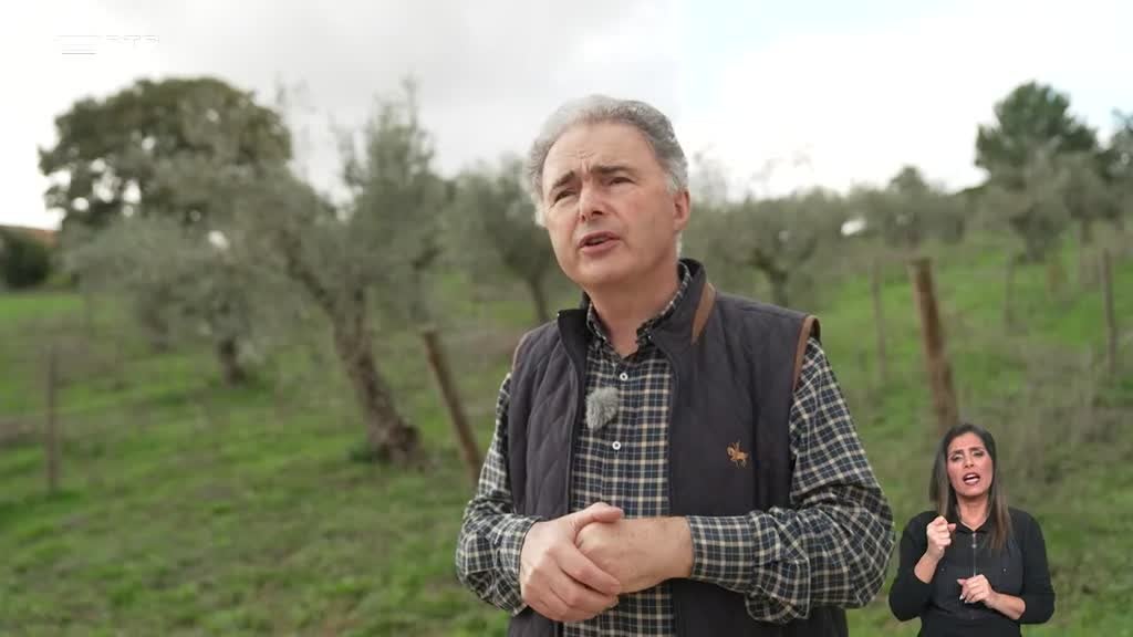 Imagem de Biosfera - Bagaço de Azeitona