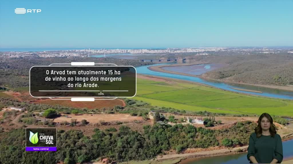 Imagem de Faça Chuva Faça Sol