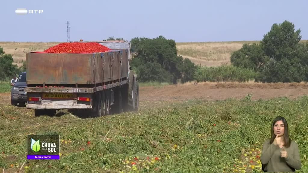Imagem de Faça Chuva Faça Sol