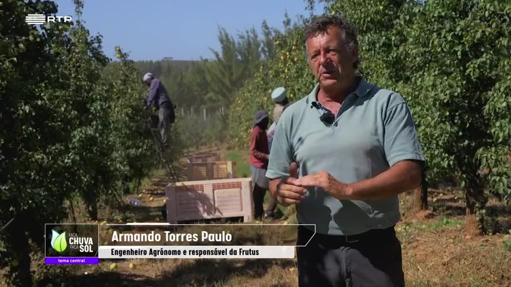Imagem de Faça Chuva Faça Sol
