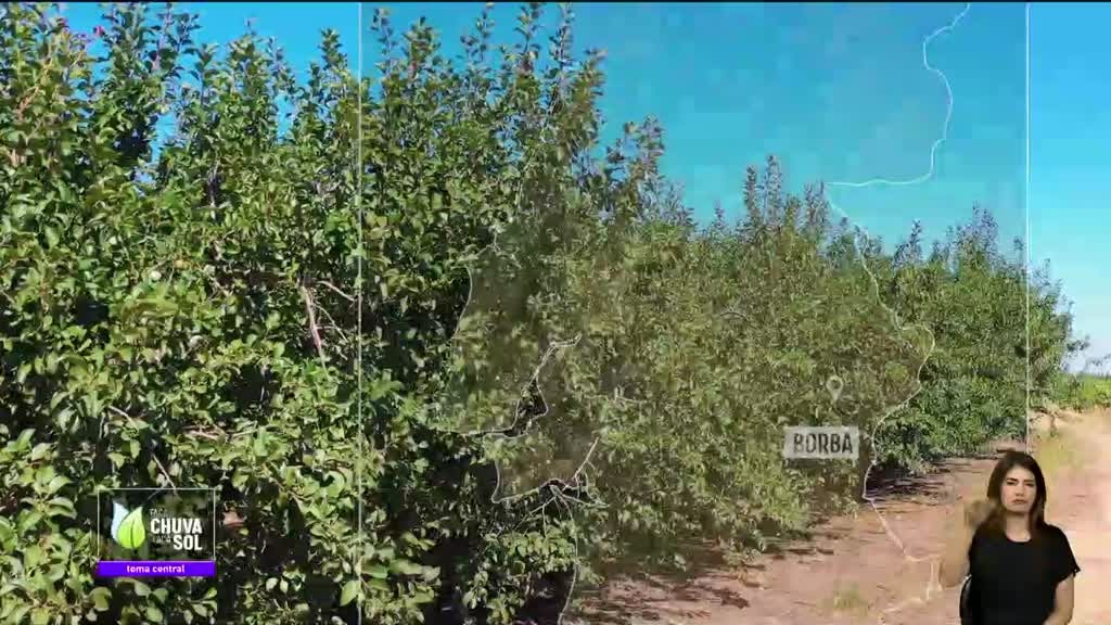 Imagem de Faça Chuva Faça Sol