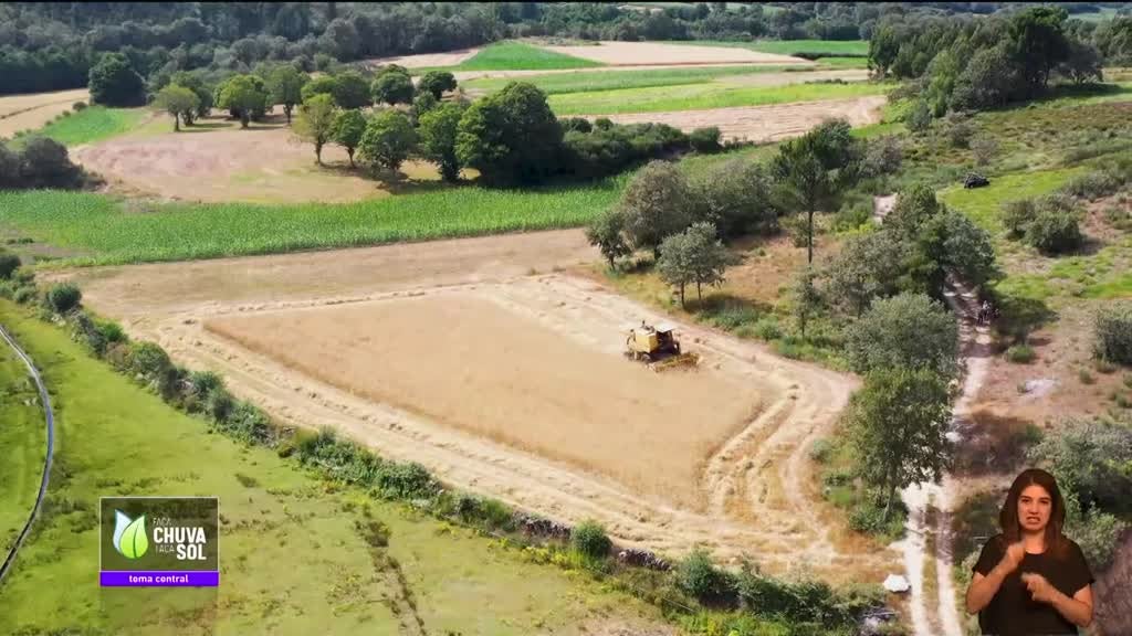 Imagem de Faça Chuva Faça Sol