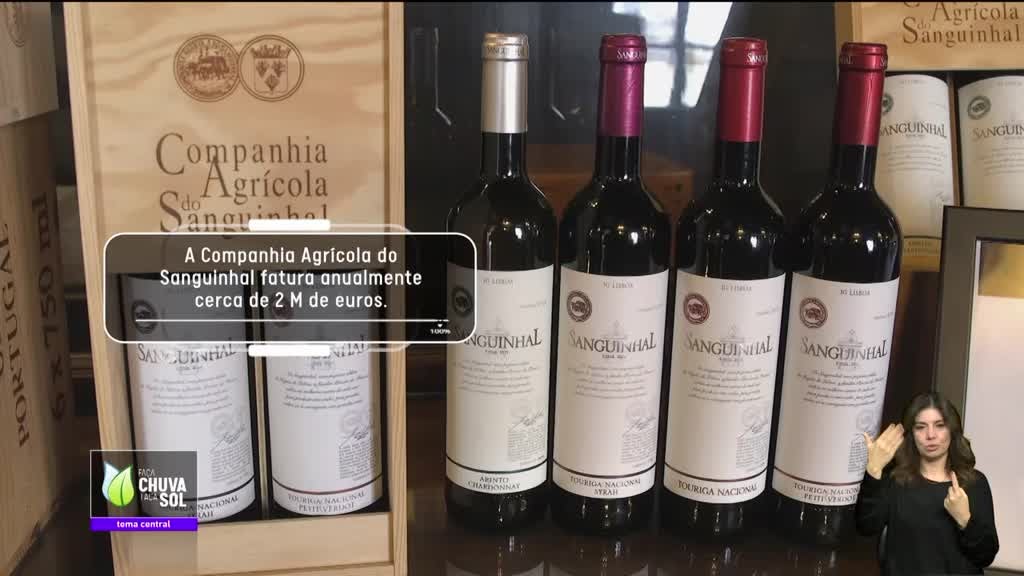 Imagem de Faça Chuva Faça Sol