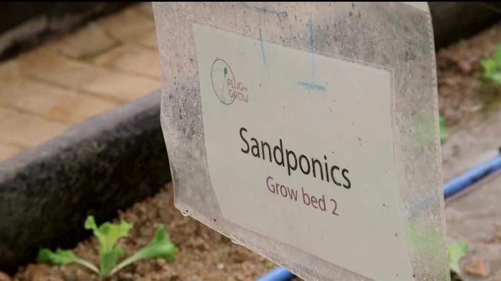 Imagem de África Global