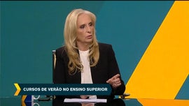 Imagem de Cursos de Vero no Ensino Superior