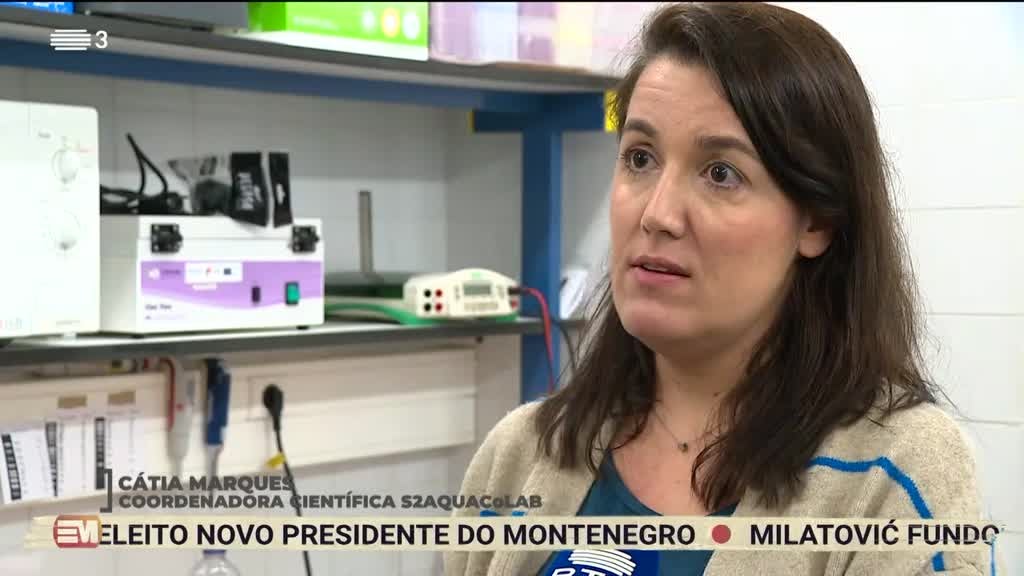 Imagem de Europa Minha