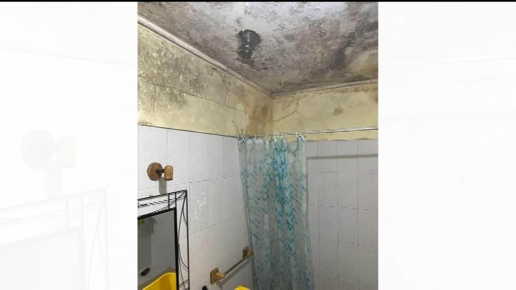 Imagem de Viva Saúde