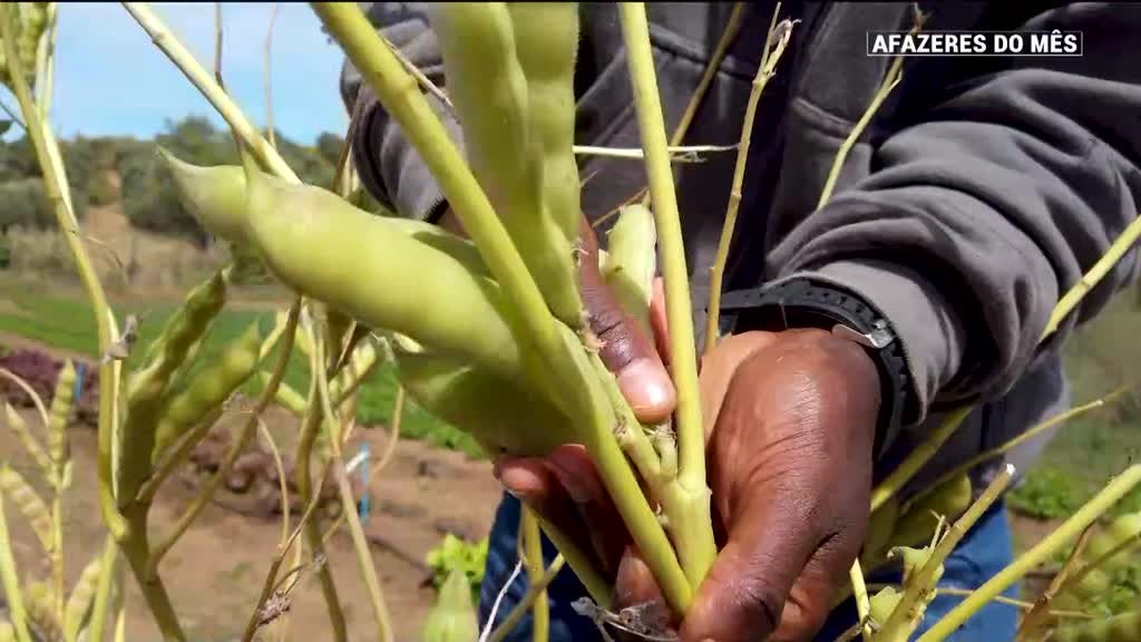 Imagem de Afazeres do Mês