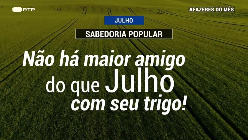 Imagem de Afazeres do Mês