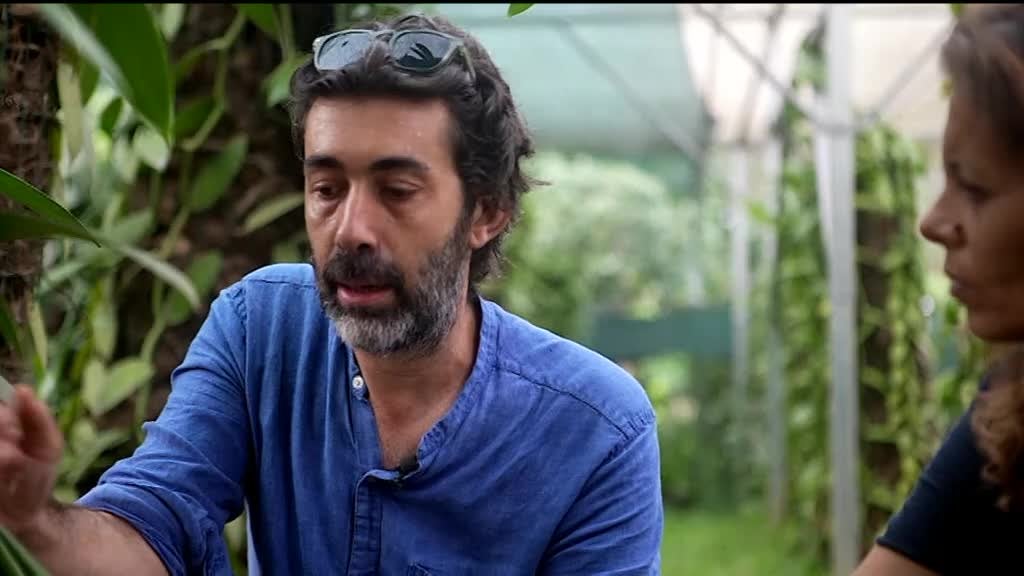 Imagem de Pérolas do Oceano