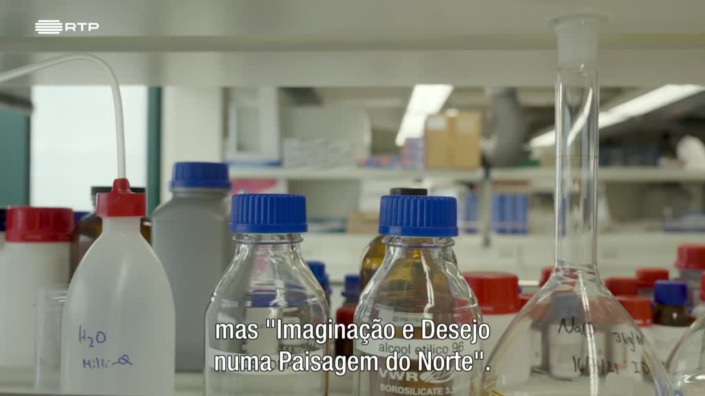 Imagem de As Palavras do Mundo